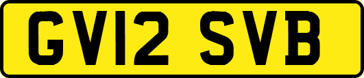 GV12SVB