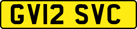 GV12SVC