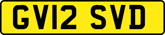 GV12SVD