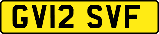 GV12SVF