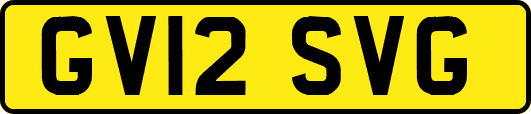 GV12SVG