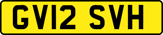 GV12SVH