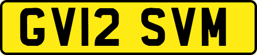 GV12SVM