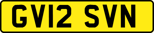 GV12SVN