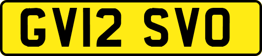 GV12SVO