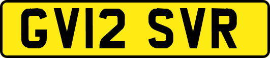 GV12SVR