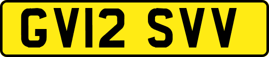 GV12SVV
