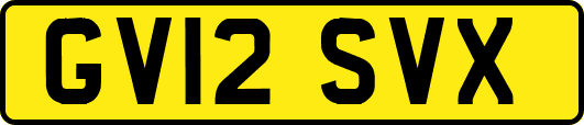 GV12SVX