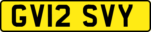 GV12SVY
