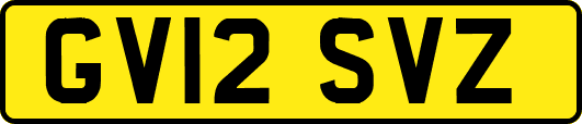 GV12SVZ