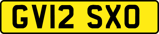 GV12SXO
