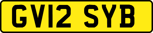 GV12SYB