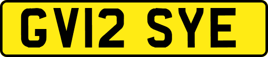 GV12SYE