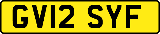 GV12SYF