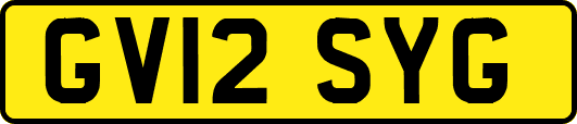 GV12SYG