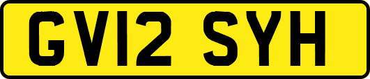 GV12SYH