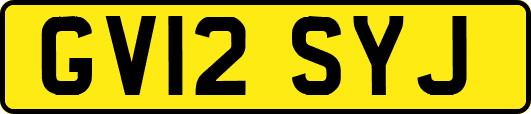 GV12SYJ