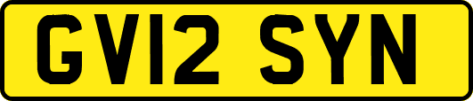 GV12SYN