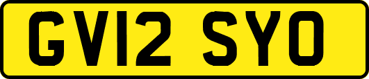 GV12SYO