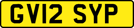 GV12SYP