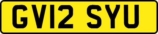 GV12SYU