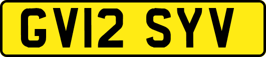 GV12SYV