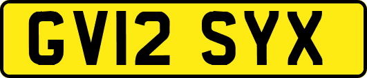 GV12SYX
