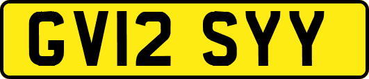 GV12SYY