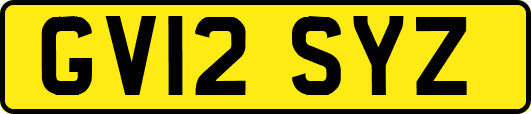 GV12SYZ