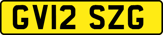 GV12SZG