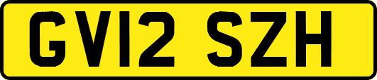 GV12SZH