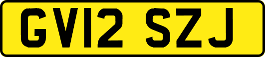 GV12SZJ