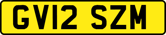 GV12SZM