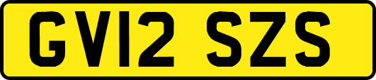 GV12SZS