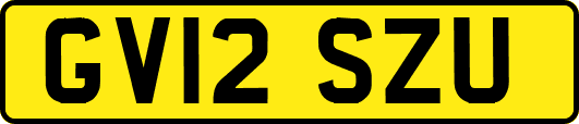 GV12SZU