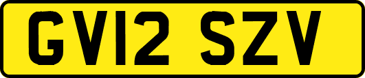 GV12SZV