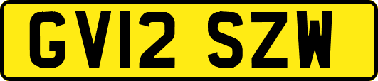 GV12SZW