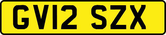 GV12SZX