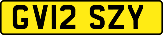 GV12SZY