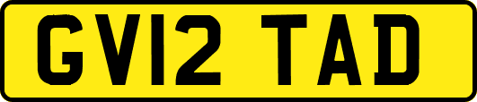 GV12TAD
