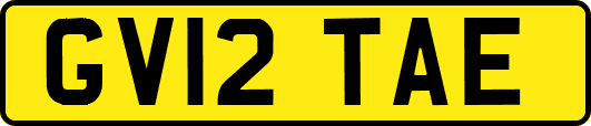 GV12TAE