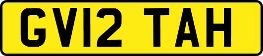 GV12TAH