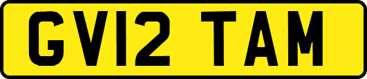 GV12TAM