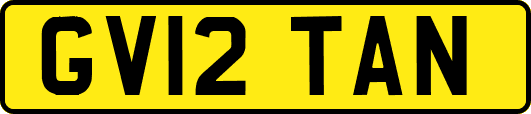 GV12TAN