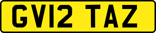GV12TAZ