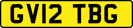 GV12TBG