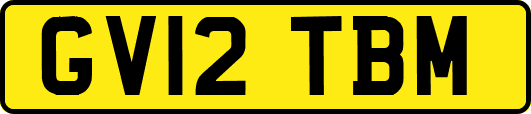 GV12TBM