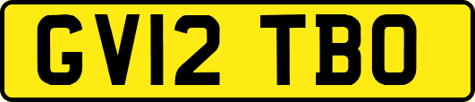 GV12TBO