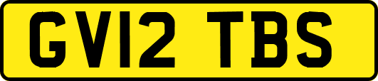 GV12TBS