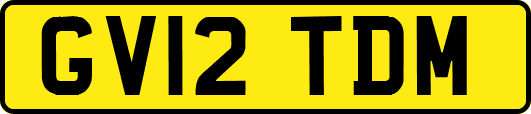 GV12TDM